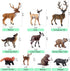 EOIVSH 10PCS Set Forest Animal Figures, Realistic Woodland Figurines, Plastic Jungle Toys With Deer Elk Wolf Bear Okapi
