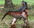 Gemini & Genius 11.5 Inch Tyrannosaurus Rex Action Figure with Movable Jaw - Gifts, Stocking Stuffer, Cake Topper