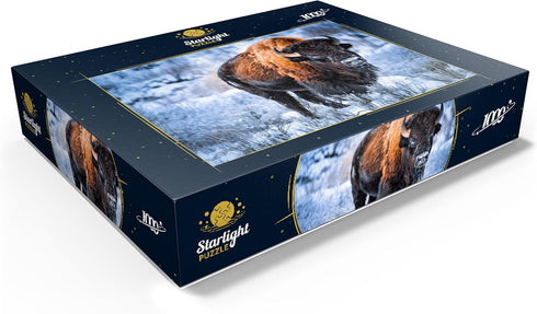 MyPuzzle American Bison Crouching in Snow, Yellowstone National Park - 1000 Piece Jigsaw Puzzle for Adults