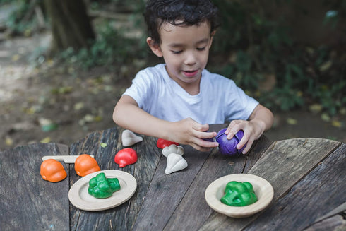 PLAN TOYS Plantoys - Eco-friendly Educational Toy, Multi-Color (3431)