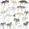 Deekin 20 Pcs Mini Around World City Miniatures, Realistic Themed Party Gifts (Wolf)