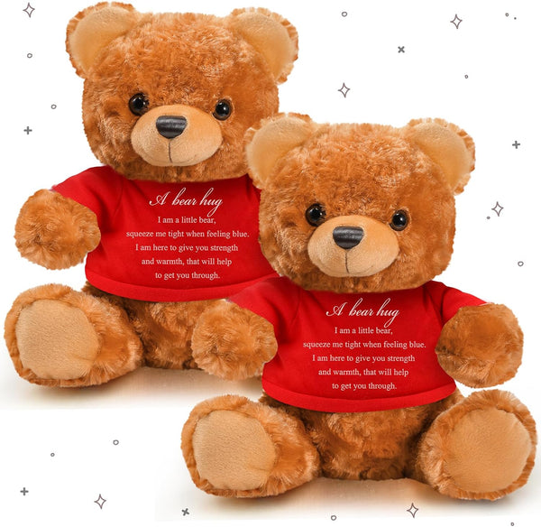 2 Pcs Little Bear Plush Stuffed Animal Sympathy Gifts, Memory Bear with Bear Hug Sign, Funeral Gift for Kids