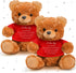 2 Pcs Little Bear Plush Stuffed Animal Sympathy Gifts, Memory Bear with Bear Hug Sign, Funeral Gift for Kids