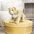DEMDACO Large Maine Coon Cat Striped Ginger Plush Stuffed Animal Toy