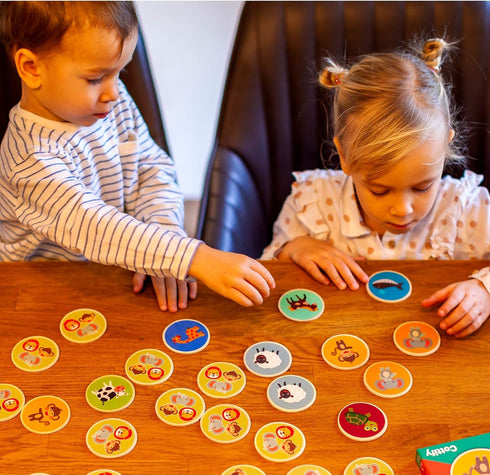 Montessori-Inspired Wooden Matching Game for Toddlers 2-4 Years, 36 Card Set with Carry Bag