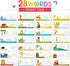 KMUYSL Learning Toys for Boys and Girls Age 2-6 - See & Spell CVC Word Builders with Alphabet Cards, Preschool Gifts
