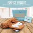 BlueMello Ultra-Soft Baby Fox Bathrobe, Hooded Robe for Toddlers 0-6 Months, Ideal Infant Boy & Girl Gift
