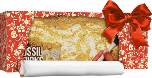 Dig a Dozen Fossil Bricks - Break Open 12 Bricks and Discover Unique Real Fossils