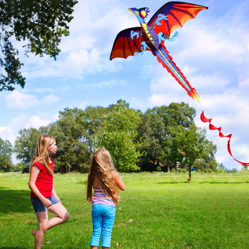 HENGDA KITE Upgrade Classical Dragon Kite, 55"x62" Stereoscopic Easy to Fly for Kids & Adults