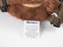 2 in 1 New Monkey Toddler Safety Harness Backpack - Brown Children's Walking Leash Strap