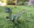 Gemini&Genius Velociraptor Dinosaur Toy for Kids - Moveable Jaw and Hands, Detail Raptor Action Figure Gift for Kids
