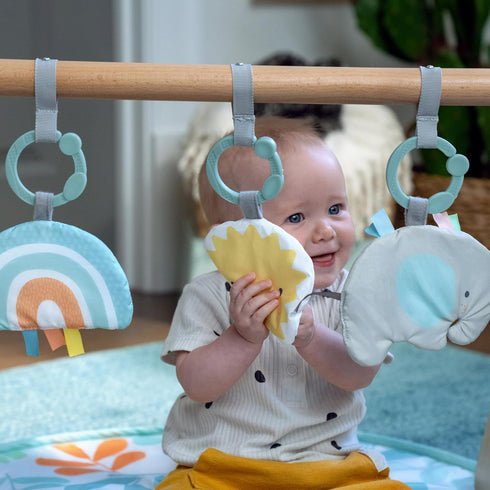 0-36 Ingenuity Sun Valley Wooden Baby Play Mat, Foldable A-Frame Bar, Machine-Washable Mat, Unisex, for Ages Months