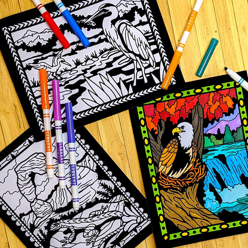 Pack 18 Super of Fuzzy Velvet Coloring Posters (National Parks Edition) - Great for Family Time, Arts & Crafts, Travel