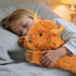 5 lbs 22 JellyMallow Highland Cow Weighted Stuffed Animals in, Highland Cow Weighted Stuffed Animal Plushies, Adorable