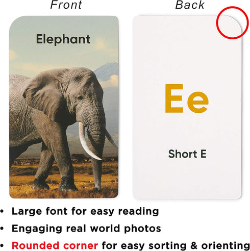 Think Tank Scholar Alphabet Flash Cards (ABC) for 2-4 Years, Learning Phonetic Sounds for Kids Speech Development, All