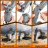 3 1 14 3-12 2.4GHz 6 7 8 9 10 kolegend in Remote Control Excavator Toy Channel RC Excavator Toy for Boys