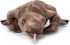 20 inches The Petting Zoo Komodo Dragon Stuffed Animal, Gifts for Kids, Wild Onez Zoo Animals, Komodo Dragon Plush Toy