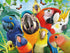 500 Ceaco - Selfies - Perfect Parrot - Piece Jigsaw Puzzle