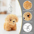 Anboor Small Stuffed Animals - 4.8 Inch Cute Puppy Dog Plush with Keychain for Party Favors (Light Brown)