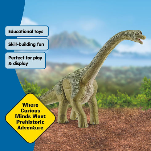 9.5" 4+ 14581 Schleich Dinosaurs - Brachiosaurus - Realistic, Durable Green Dinosaur Toy - Educational Fun Long Neck