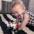 Baby Einstein Curious Car Zen Oball Toy Car & Rattle, Light Up, Ages 3 Months+, Zen The Zebra