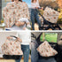 ZDCUSTOM Set 2, Cute Highland Cow Flower Car Seat Cover with U Shaped Pillowcase Cover of Carseat Protectors for Girl