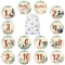 Novabright 7 Pack Mallard Duck Baby Shower Monthly Milestone Cards Signs Baby Announcement