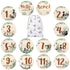 Novabright 7 Pack Mallard Duck Baby Shower Monthly Milestone Cards Signs Baby Announcement