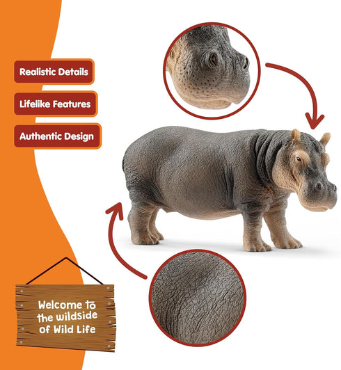 3+ Schleich Wild Life Realistic Detailed Hippopotamus Figurine - Wild Hippo Figurine Toy for Play and Education, Highly
