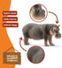 3+ Schleich Wild Life Realistic Detailed Hippopotamus Figurine - Wild Hippo Figurine Toy for Play and Education, Highly