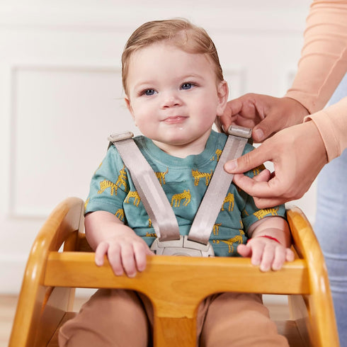 ECR4Kids 5-Point Universal T-Lock Harness, Compatible with ASATT High Chair, Replacement Part, Grey