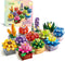 Flowers Succulents Building Sets, 12 Tiny Plants, Office Home Decor Botanical Collection