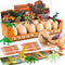 Zippytots Easter Dino Egg Dig Kit 12 Unique Eggs with Glow in