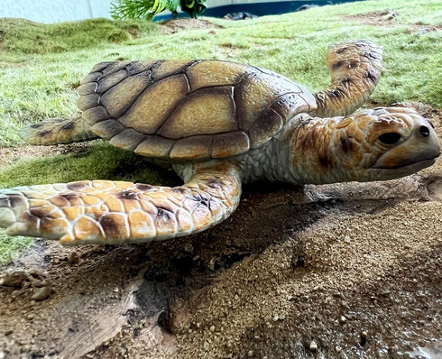 Gemini&Genius Sea Turtle Toy: Large Marine Animal Figure, Ocean Educational Toy, Backyard Garden Decoration