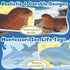 Set 12 Ocean Sea Life Toy Figures for Kids, PCS Realistic Marine Animals with Shark, Dolphin, Sea Turtle, Penguin
