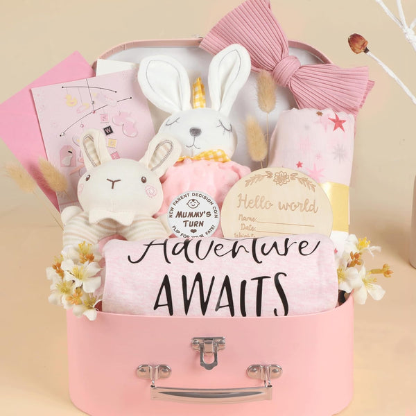 Shower Gifts Basket Gift Set for Newborns New Born Gift Set Pink