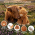 24" 4.5lbs & Highland Cow Stuffed Animal, Sitting & Laying Weighted Stuffed Animals, Cuddly & Soft Weighted Highland