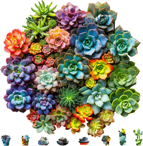 Mys Aurora Succulent Wooden Puzzles for Adults, 200 Piece Unique Shaped Wood