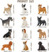 Toymany 12PCS Mini Dog Figurines Toy Set, Realistic Detailed Plastic Puppy Figures, Cake Toppers Gift