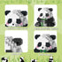 Mini Building Blocks - Bamboo Panda, Micro Blocks Panda Toy for Kids 6-10+, Mini Blocks Building Sets for Adults