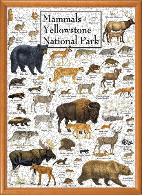 MasterPieces 1000 Piece Jigsaw Puzzle - Mammals of Yellowstone National Park, 19.25" x 26.75" for Adults, Family, or