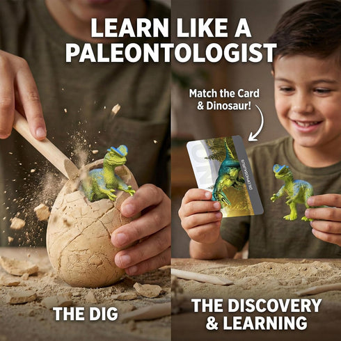 36-Pack 3-12 Uregoio Dinosaur Eggs Dig Kit, Surprise Dinosaur Eggs Excavation Kit with Magnifier, Science STEM Toys