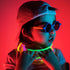 Glow Fever 1200pcs Bulk Glowsticks Party Pack, 600 8" Glow Sticks and Connectors for Concerts, Weddings, Birthdays
