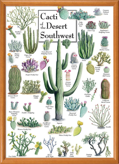 MasterPieces 1000 Piece Jigsaw Puzzle for Adults, Cacti of The Desert Southwest, 19.25"x26.75"