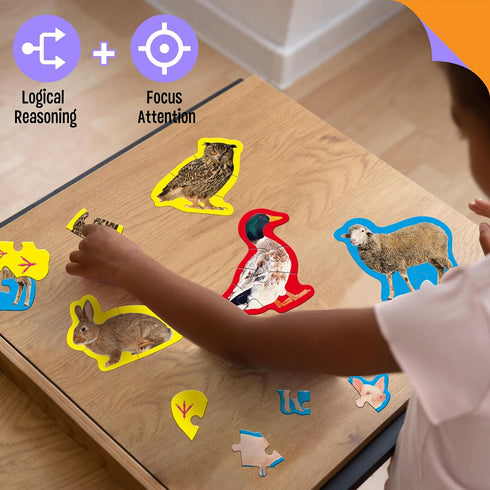 12 Pack Realistic Animal Puzzles - 48 Pieces Step-by-Step Animal Jigsaws for Preschool Toddlers 3+