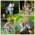 15PCS Set Toymany Monkey Primates Figurines, Plastic Jungle Animals Included Tree Monkey Ape Tree Chimpanzee Gorilla