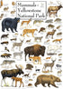 MasterPieces 1000 Piece Jigsaw Puzzle - Mammals of Yellowstone National Park, 19.25" x 26.75" for Adults, Family, or