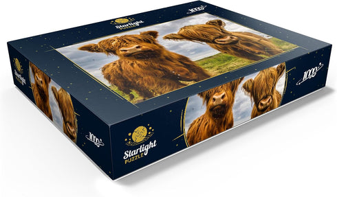 MyPuzzle Two Highland Cows - Premium 1000 Piece Jigsaw Puzzle for Adults