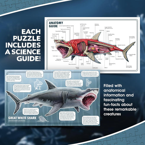100-Piece 4-8, 3-5, 8-10 Shark Animal Anatomy Floor Puzzle | Double Sided Jigsaw Puzzle | Large Floor Puzzles for Kids