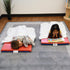 ECR4Kids 3-Section, 2in, Premium Folding Rest Mat, Sleeping Pad, Blue/Red